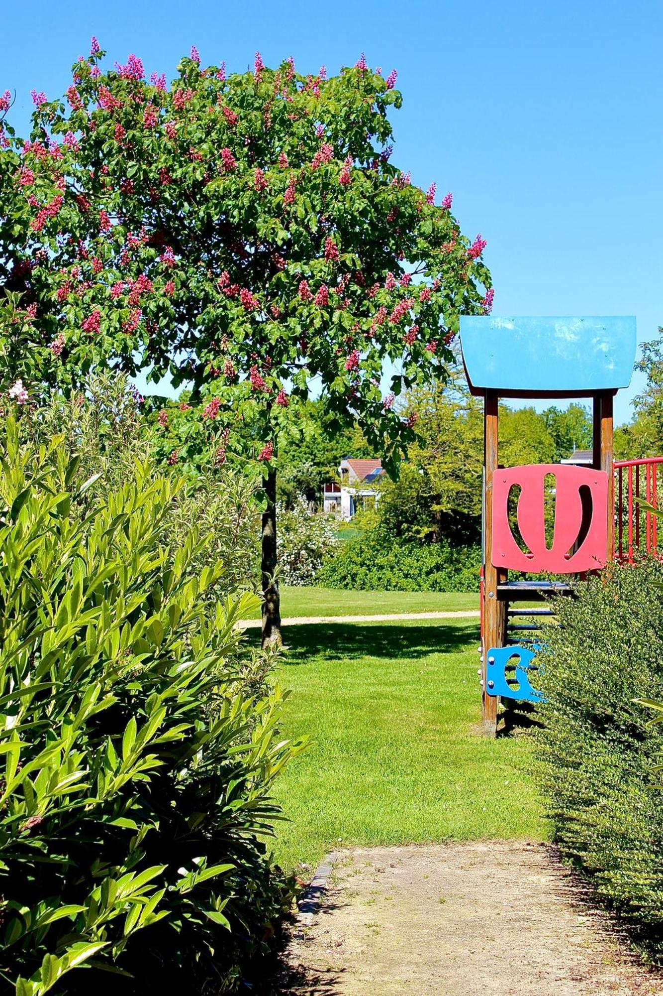 Buitenplaats Het Veerse Bree เฟราเวนโปลเดอร์ ภายนอก รูปภาพ